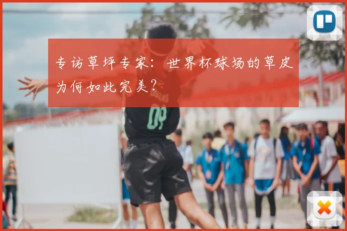 专访草坪专家：世界杯球场的草皮为何如此完美？