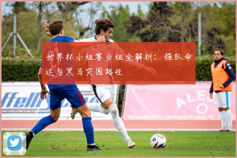 世界杯小组赛分组全解析：强队命运与黑马突围路径