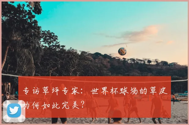 专访草坪专家：世界杯球场的草皮为何如此完美？